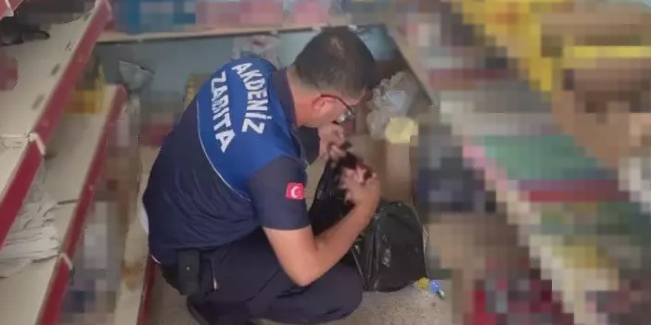 Mersin'de gıda skandalı! Çocuklara satıyordu