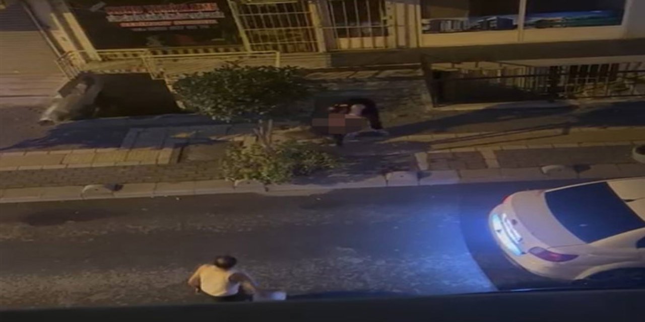 Pitbull Dehşeti: Sahibini Sokak Ortasında Isırdı