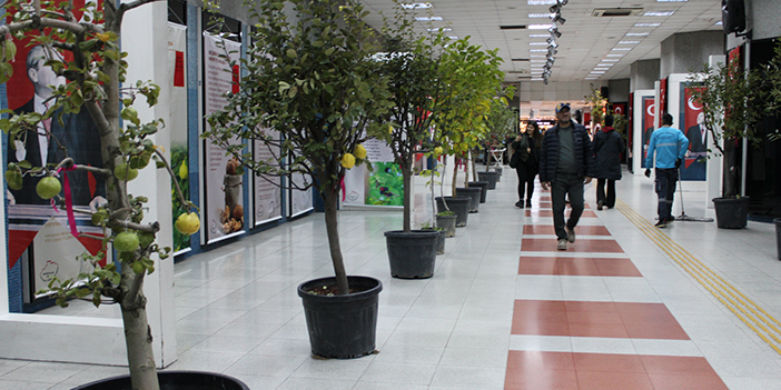 Ankara’nın zengin tarım mirası sergide tanıtıldı: Yoğun ilgi gördü