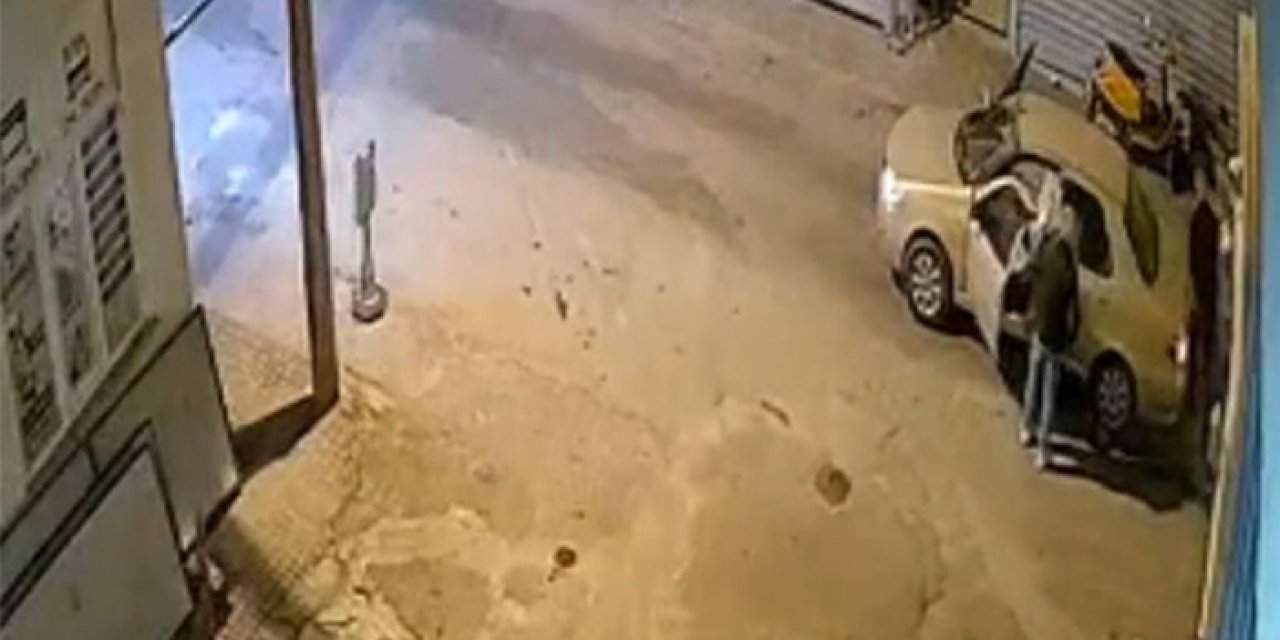 Muğla’da vahşet: Oklu kirpiyi ezip metrelerce sürükledi