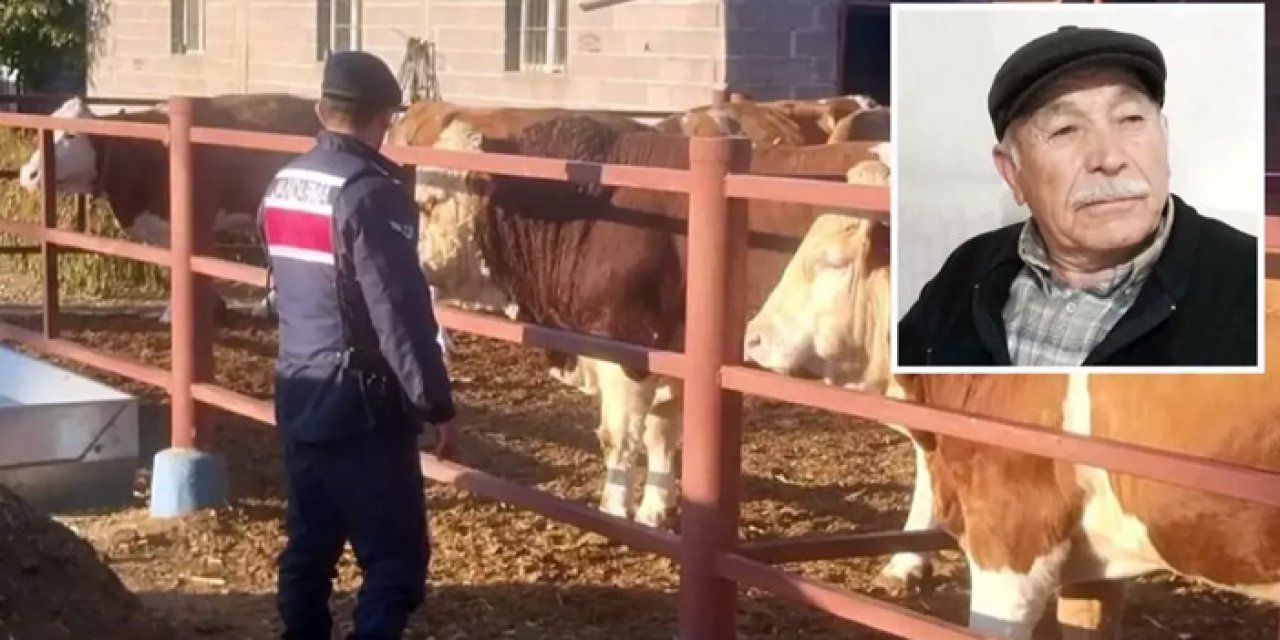 Nevşehir’de Hayvan Dehşeti: Boğa, Sahibini Demir Parmaklıklara Sıkıştırdı