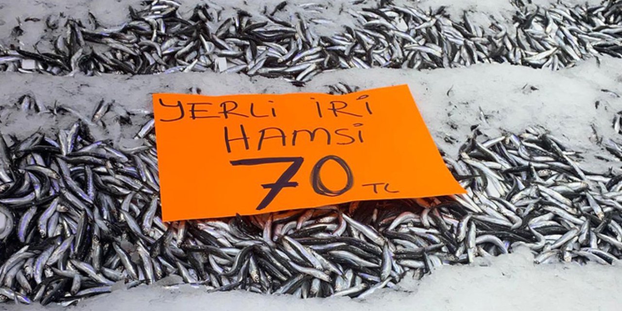 Ordu’da hamsi bereketi: Fiyatlar 70 liraya geriledi