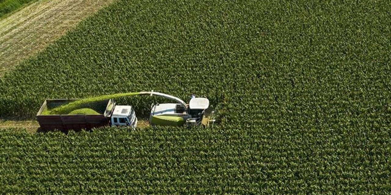 Büyükşehir Belediyesi’nden üreticilere silaj desteği başvuruları sürüyor