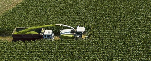 Çiftçiye müjde: 1,3 milyar liralık tarımsal destek ödemeleri bugün başladı