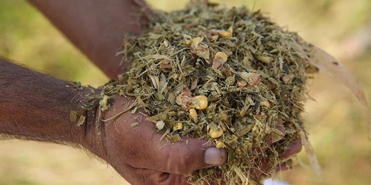 Koçhisar'da üreticiye silaj desteği: Başvurularda son tarih 8 Kasım