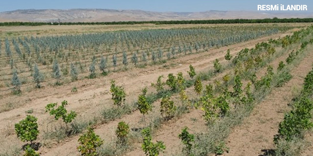 FİDAN ÜRETİM VE BAKIM İŞLERİNDE KULLANILMAK ÜZERE ÇEŞİTLİ MALZEME SATIN ALINACAKTIR