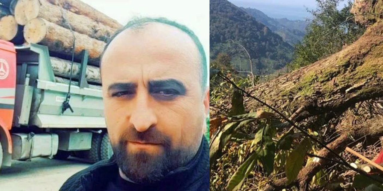 Artvin’de ağaç kesiminde işçi yaşamını yitirdi