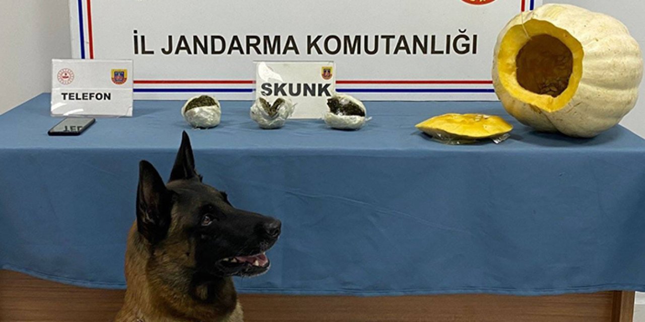 Bal kabağından uyuşturucu çıktı: 19 yaşındaki yolcu tutuklandı