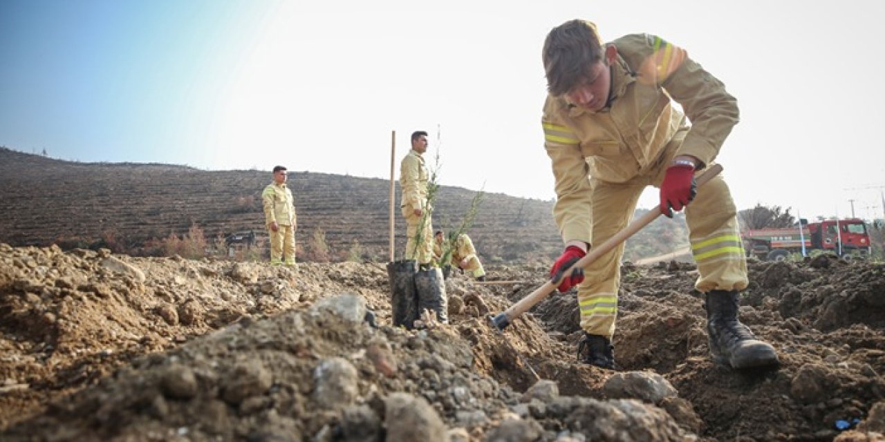 Bursa’da yangın sonrası yeşil seferberlik: 3 milyon 250 bin fidan dikilecek