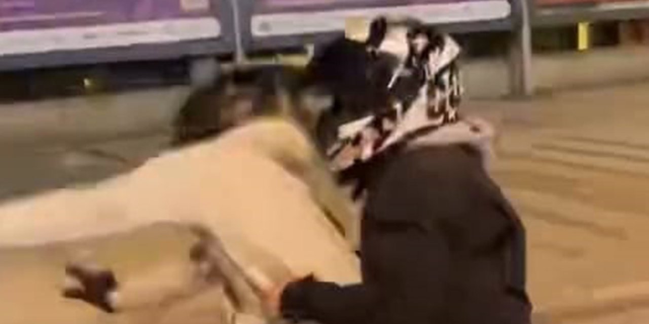 Bursa’da motosiklet gösterisi kazayla bitti