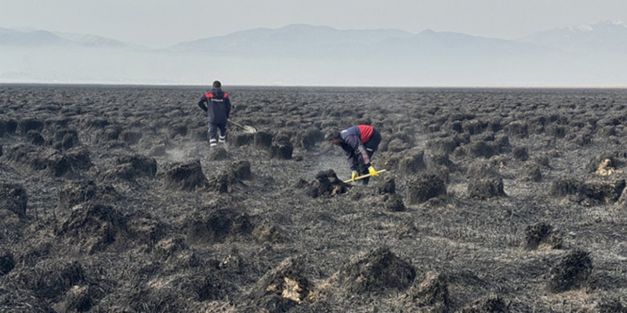 Nehil Sazlığı’ndaki yangın söndürüldü: Kuş cenneti külden döndü