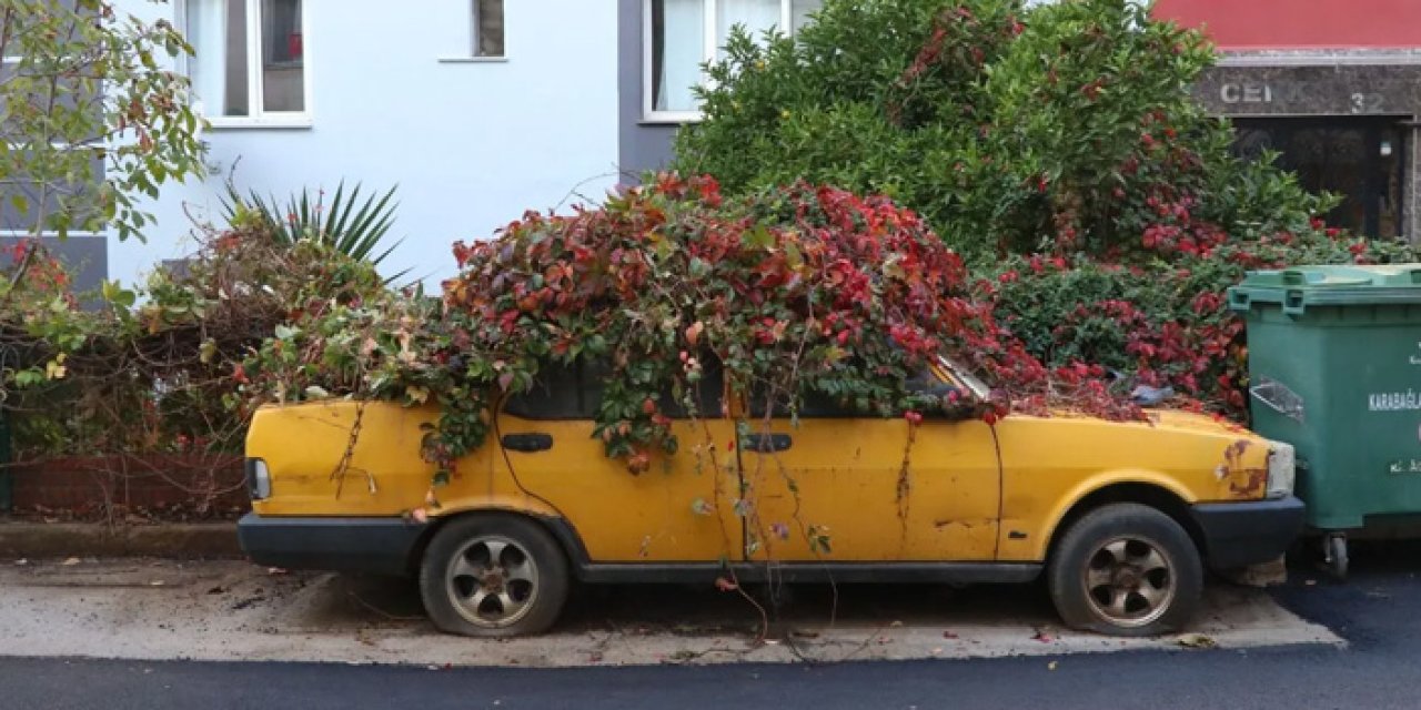 Sahibi Öldü, Aracı Doğayla Bütünleşti: İzmir’de 8 Yıllık Sessiz Tanık