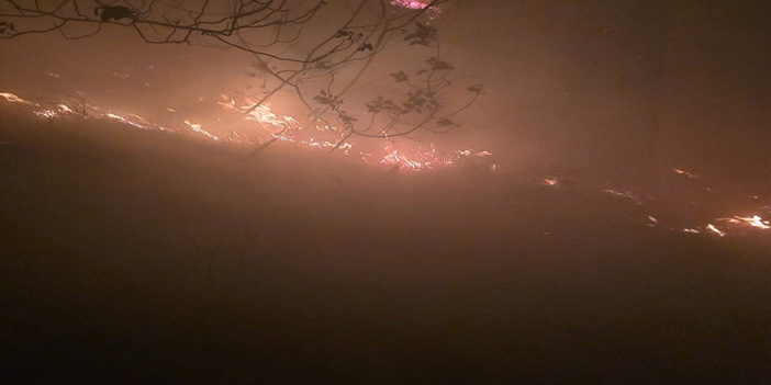 Hatay’da yıldırım ormanı ateşe verdi