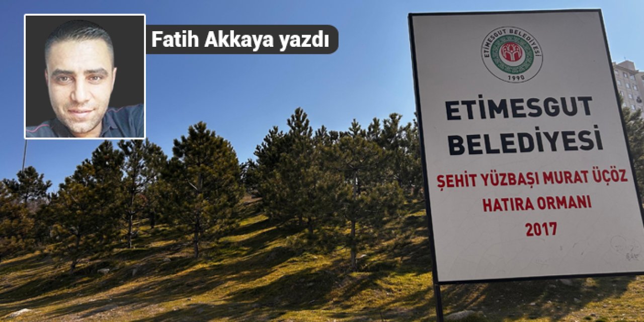 Etimesgut hareketsiz kaldı: Dikilenler de kuruyor