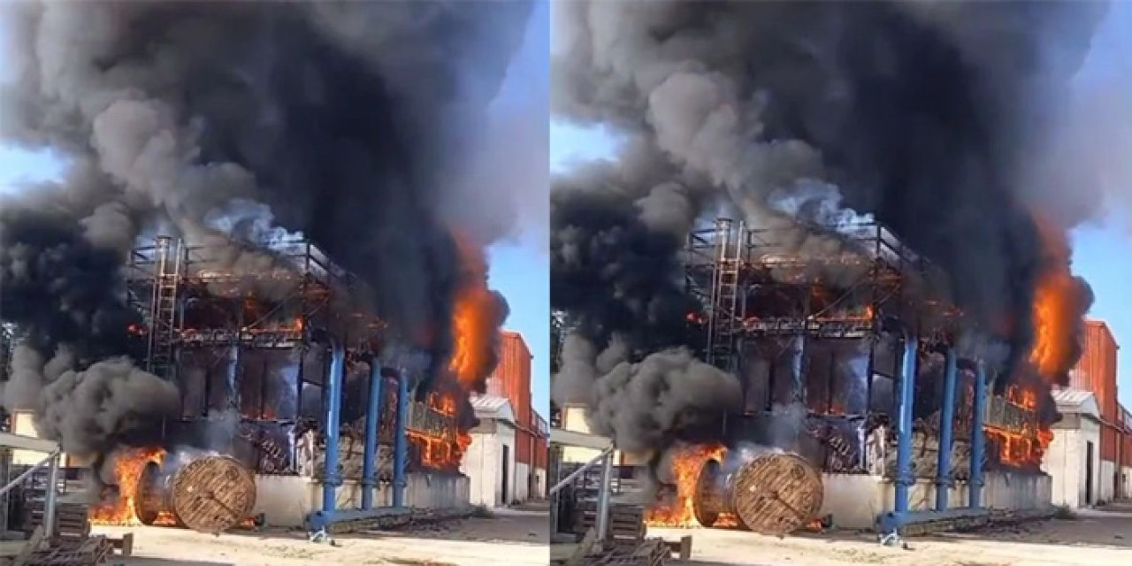 İzmir Ödemiş’te Salça Fabrikasında Yangın: Üretim Durdu