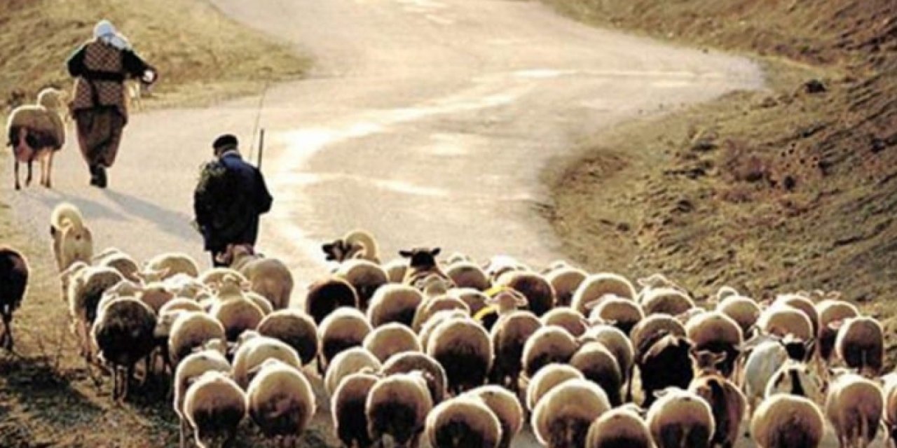 Şehirlerden köylere teşvik!