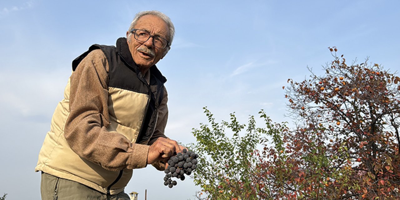 86 yaşındaki emekli, 54 farklı organik meyve yetiştiriyor
