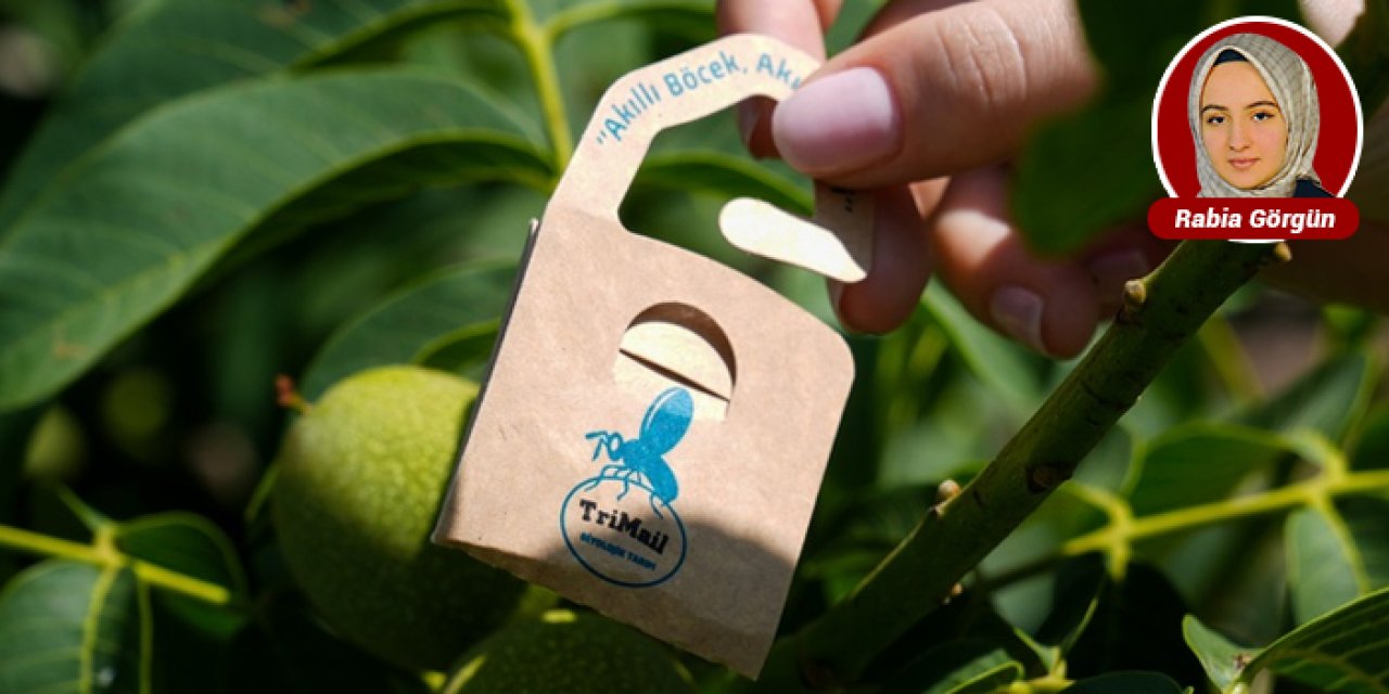 Ankara’da üreticilere biyolojik mücadele eğitimi verilecek