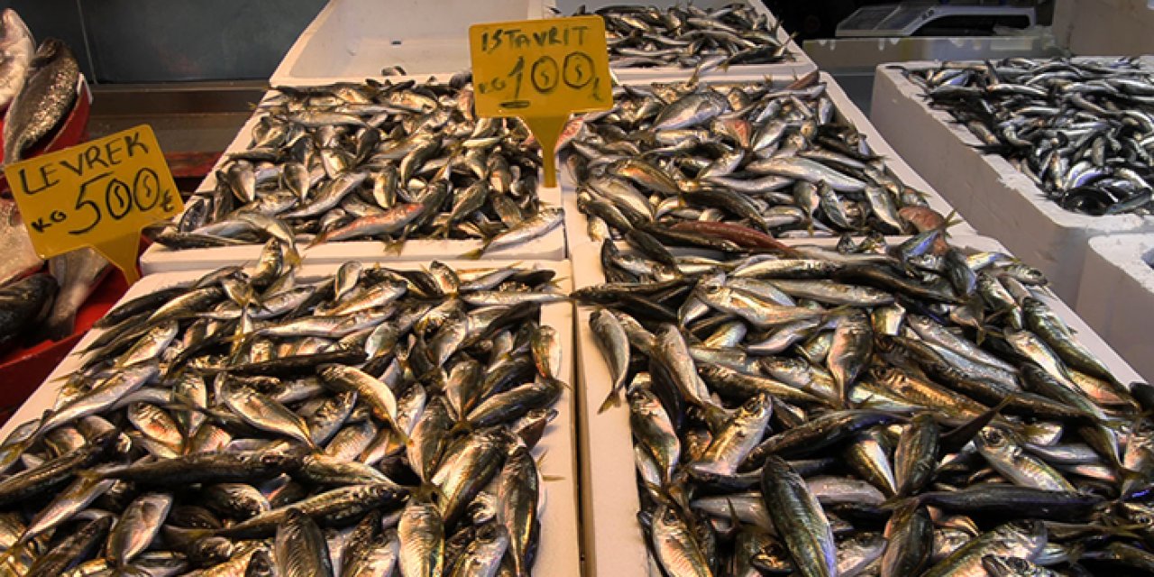 Trabzon’un tezgahları hamsiyle şenleniyor: Vatandaş doyasıya balık yiyor