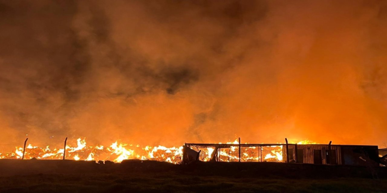 İzmir’de belediyeye ait çöp depolama alanında yangın
