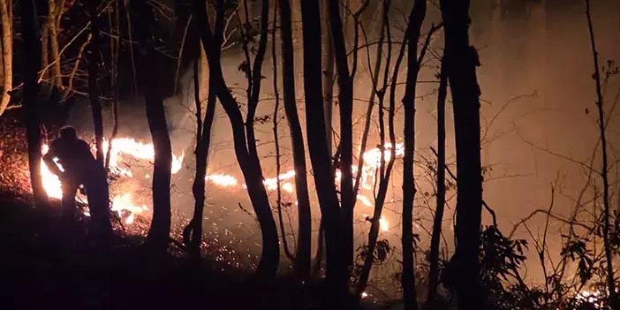 Ordu’da alevler ormana sıçradı! 22 saat süren mücadele sonrası kontrol sağlandı