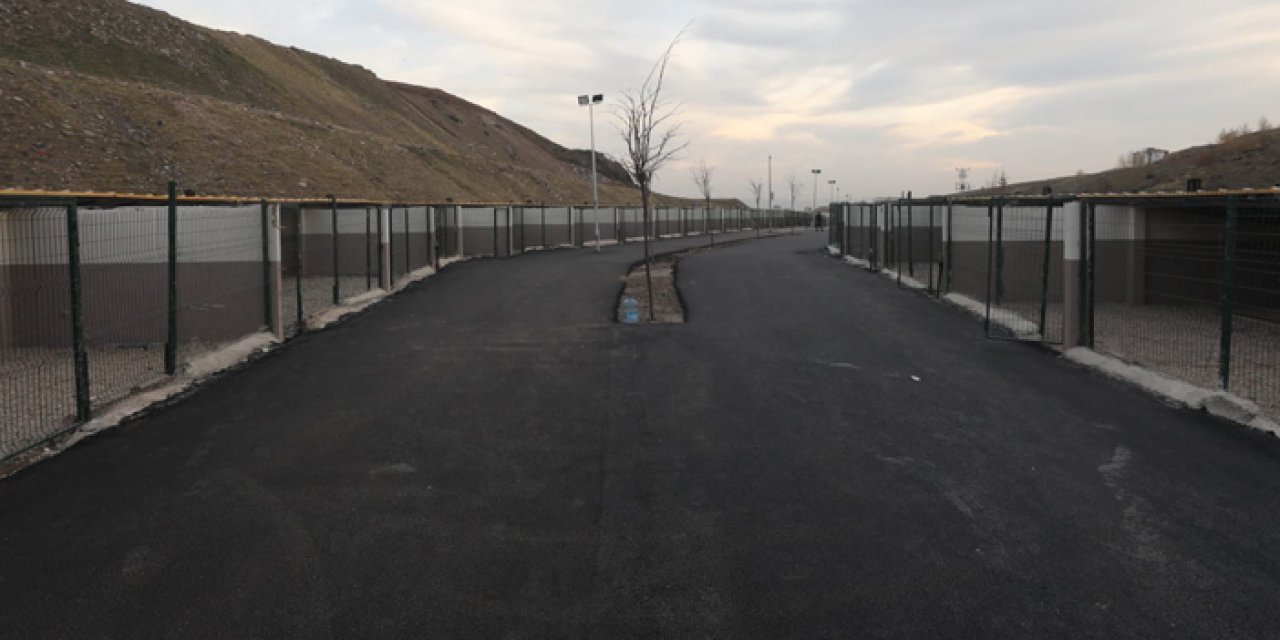 Yenimahalle’de sokak hayvanları için yeni rehabilitasyon alanı incelendi