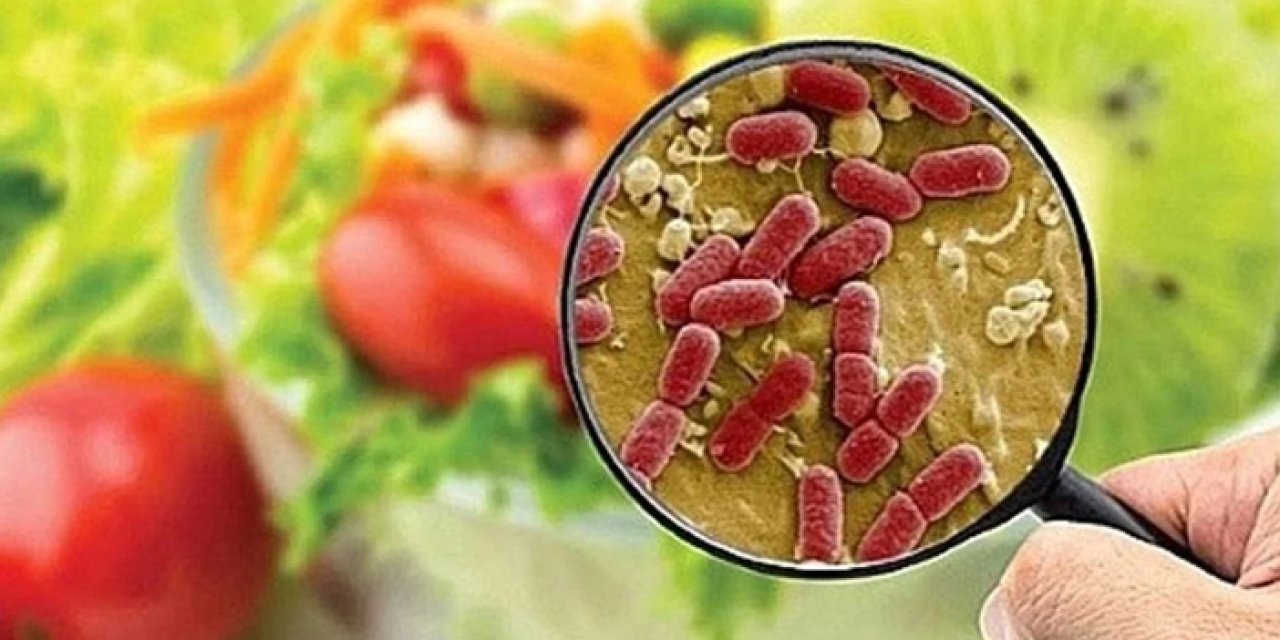 Artan zehirlenme olayları sonrası Gıda Mühendisleri Odası toplanacak