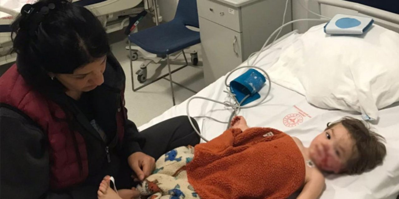 Ankara’da Pitbull Dehşeti: 1,5 ve 5 Yaşındaki Kardeşler Yaralandı