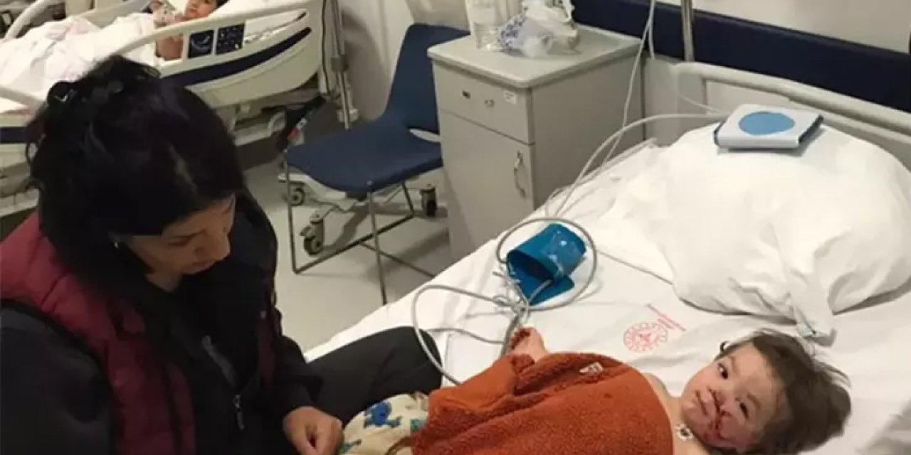 Pitbull saldırısının ardından sahibi tutuklandı