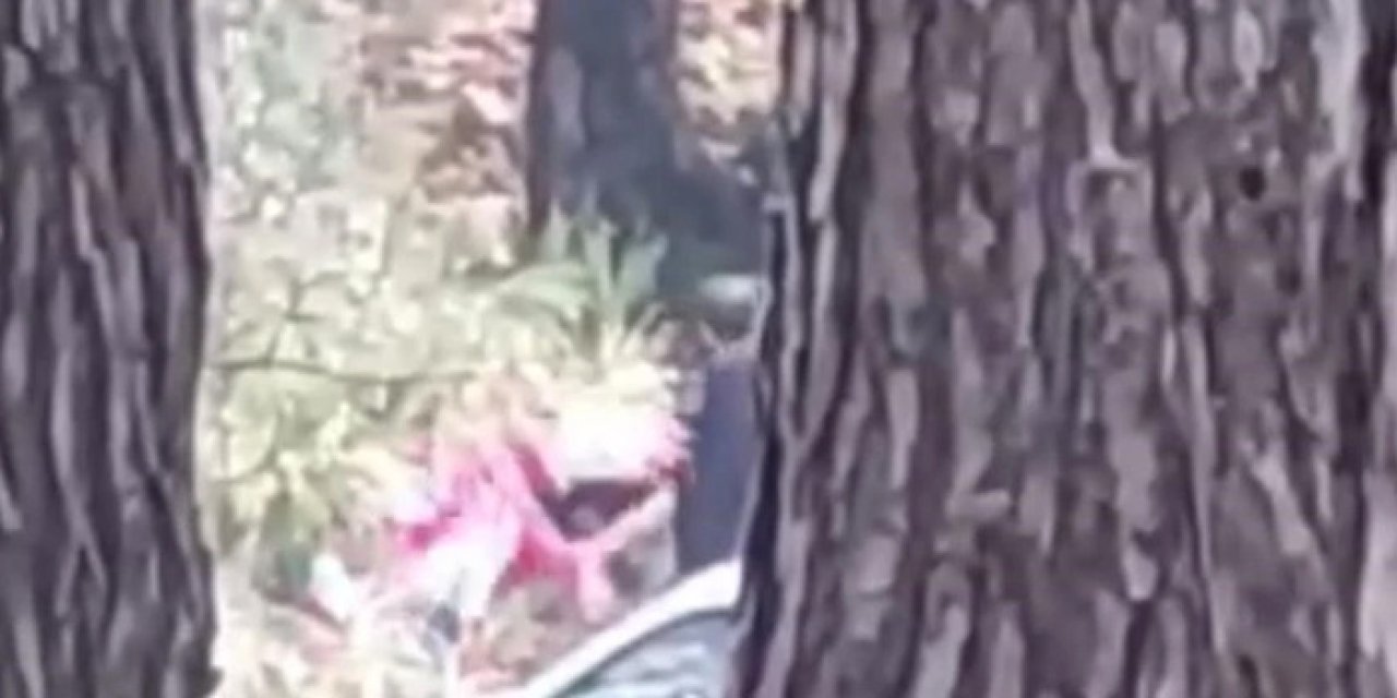 Buca’da Ormanda Kadına Şiddet: Sosyal Medyada Büyük Tepki