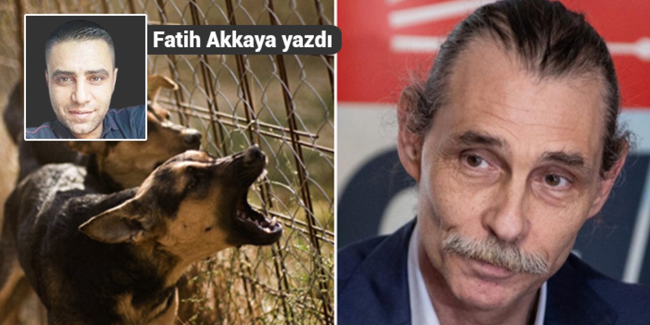 Kaç köpeği işe aldın Sayın Başkan?