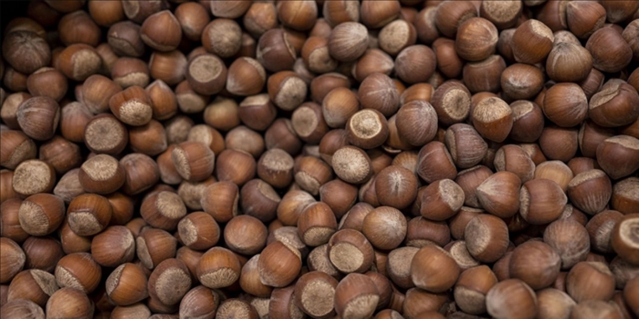 Fındık ihracatında gelir 547 milyon doları aştı