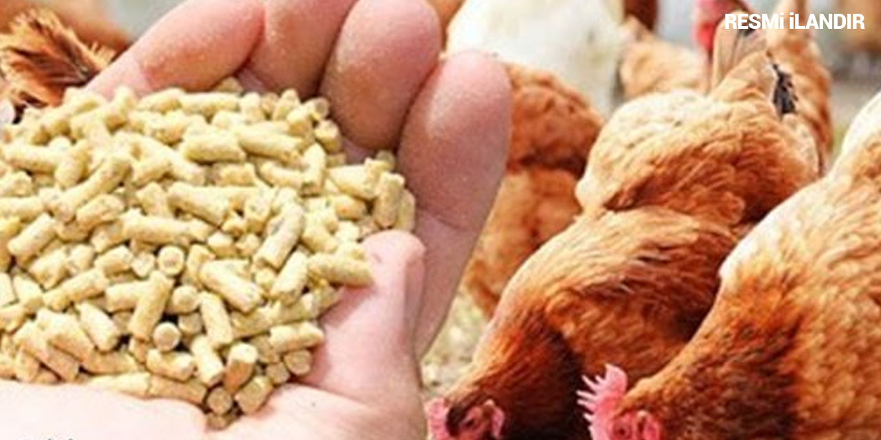 DÖKME YUMURTA TAVUK YEMİ MAL ALIM İŞİ