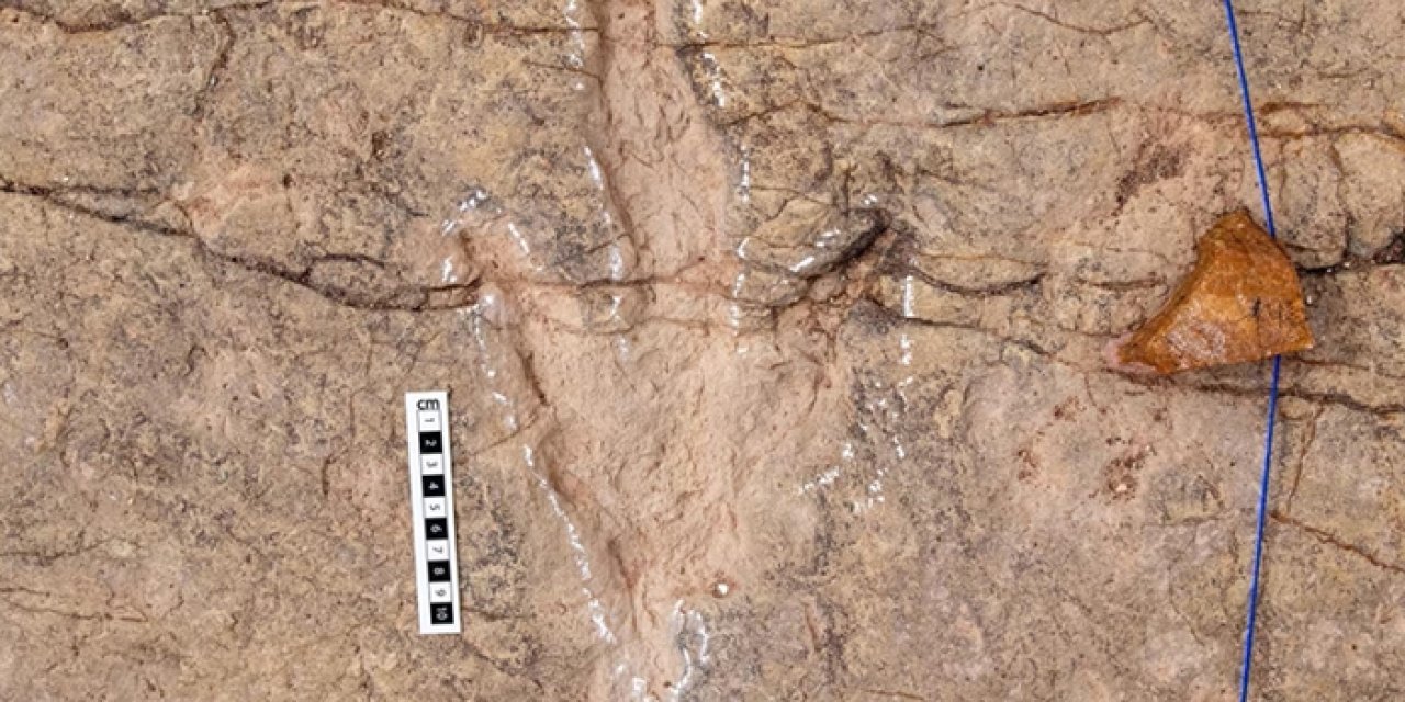 Bolivya’da binlerce dinozor izi gün yüzüne çıkarıldı