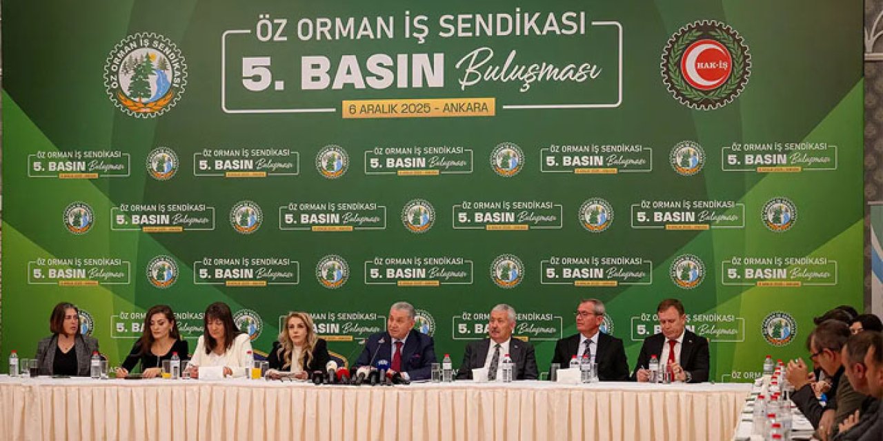 Ormanda memur çok, işçi az: Yangın hattında alarm çalıyor