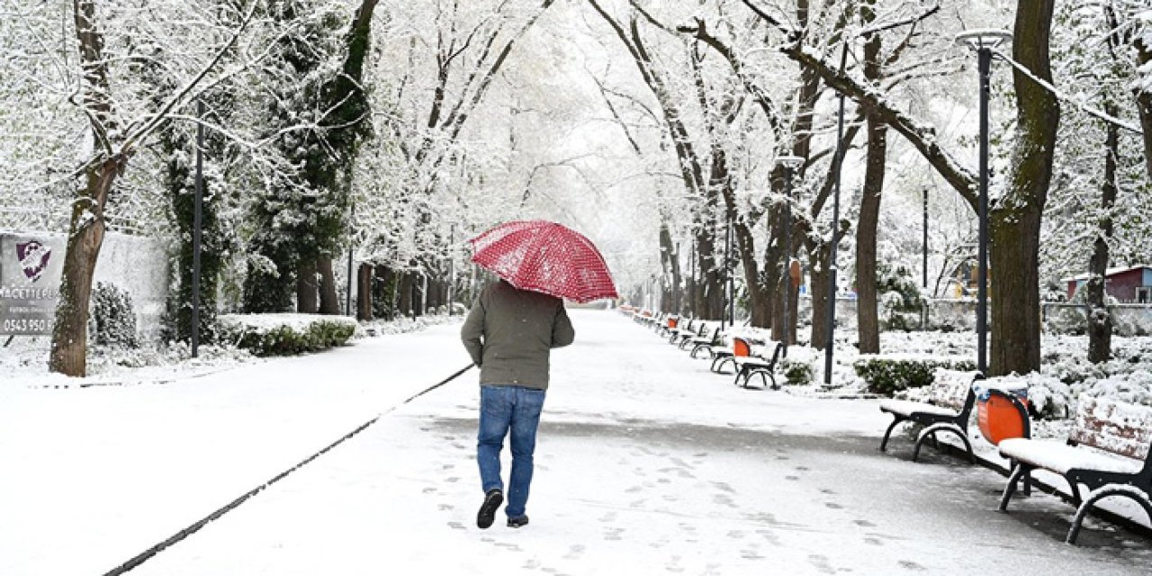 Meteoroloji: Bu Kış Türkiye Genelinde Kar Yağışı Azalacak