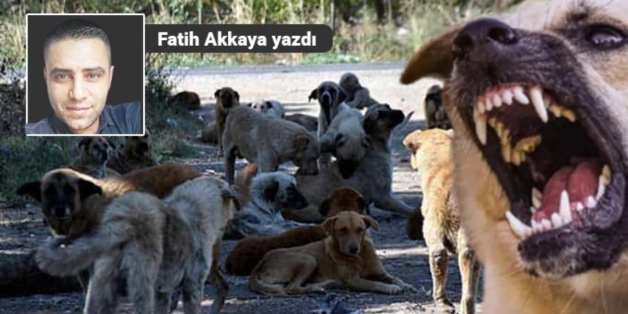 Darısı Başkentin başına