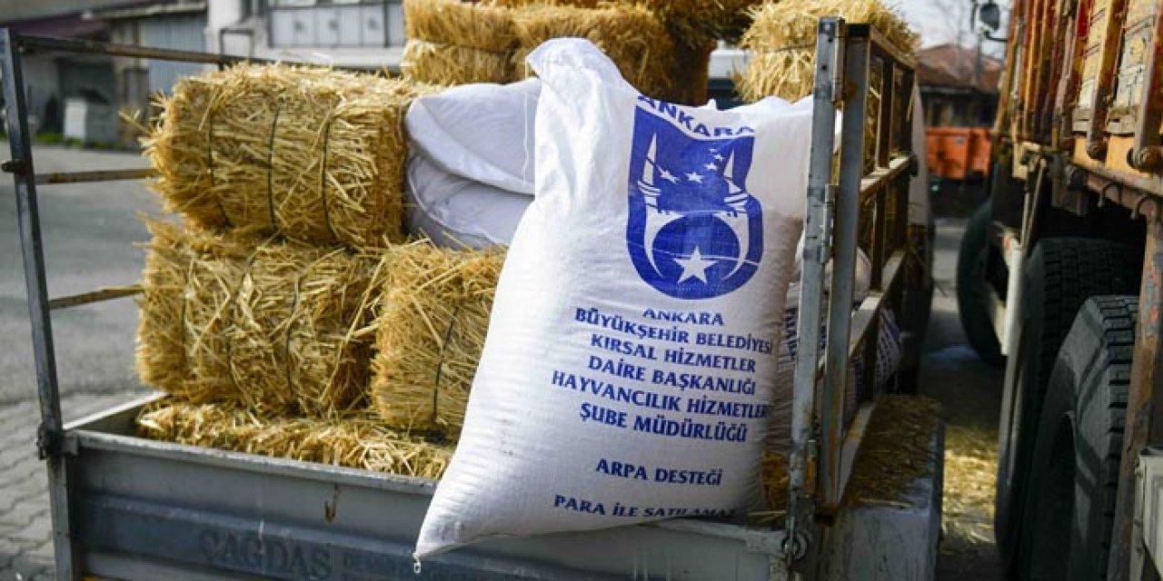 ABB’den kırsala can suyu: Mandacılara yüzde 100 hibeli yem desteği