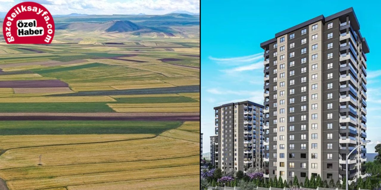 Ankara’nın o ilçesinde belediye taşınmazları satılacak: Tarla, konut, barınak… Listede yok yok