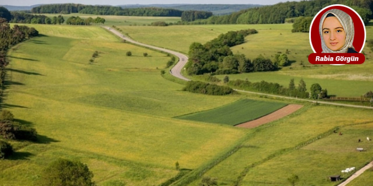 Ankara’nın o ilçesinde 52 dönüm tarım arazisi uygun fiyatlı satışa çıkarılacak
