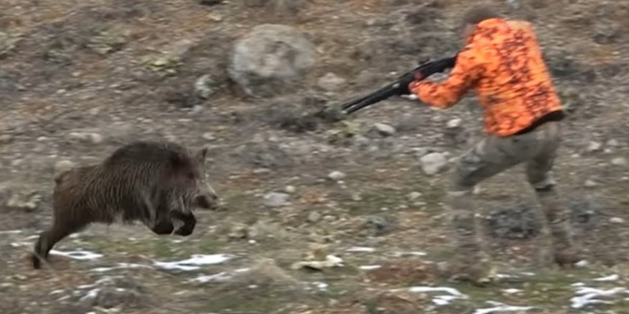 Erzincan’da av faciası: Domuz saldırısı can aldı