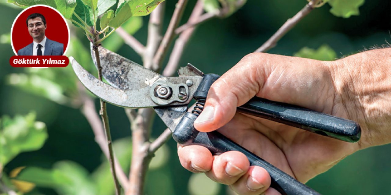 Ankara’da çiftçilere budama eğitimi verilecek: Başvurular bugün başladı