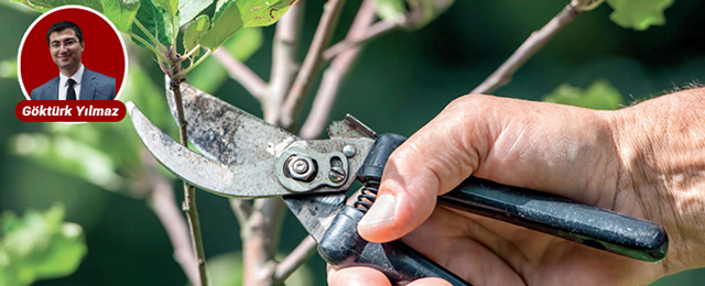 Ankara’da çiftçilere budama eğitimi verilecek: Başvurular bugün başladı