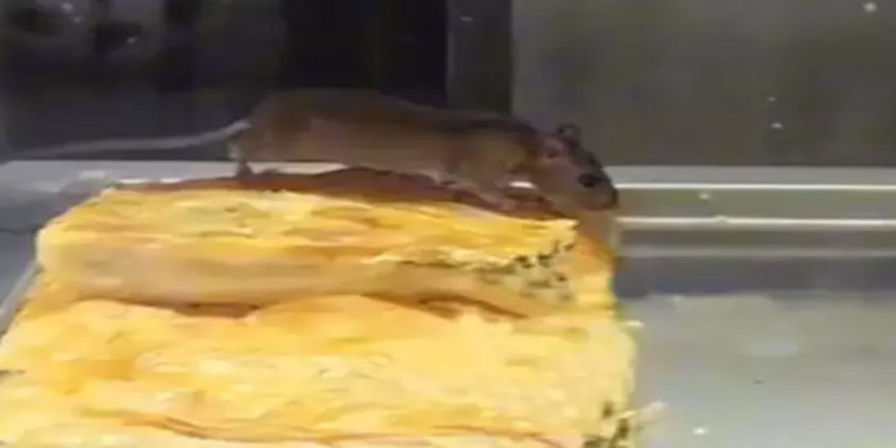 İzmir'de şok olay: Böreklerin üstünde fare geziyor