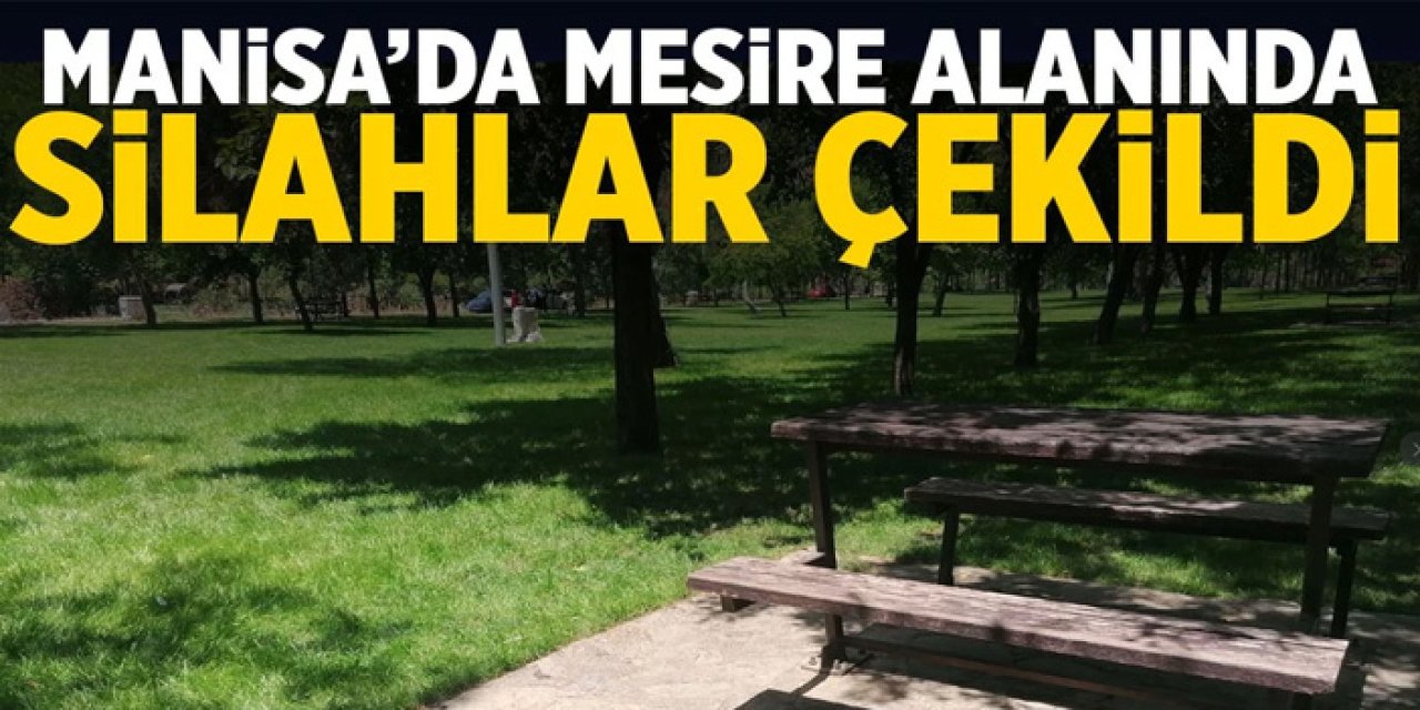 Manisa'da Mesire Alanında Kavga Kanlı Bitti: 1 Yaralı