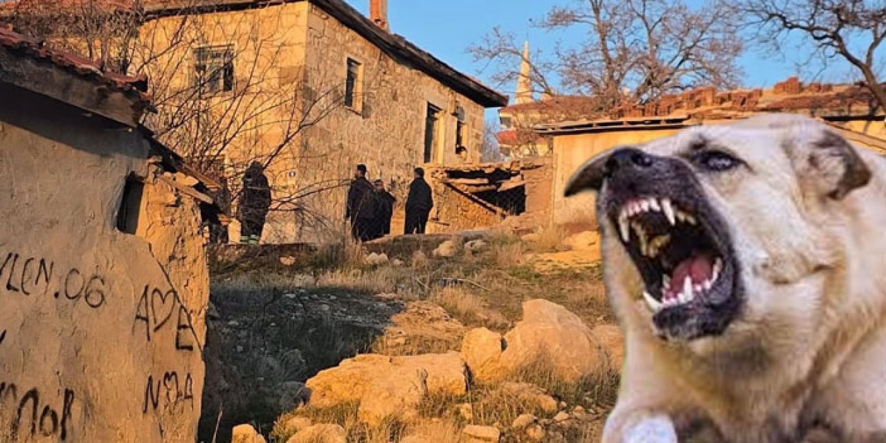 Dehşet anları Haymana’da yaşandı: Bahçedeki köpek çocuklara saldırdı