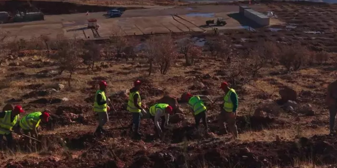 Petrol üssü Gabar’da yeşil seferberlik: 100 bin fidan toprakla buluşacak