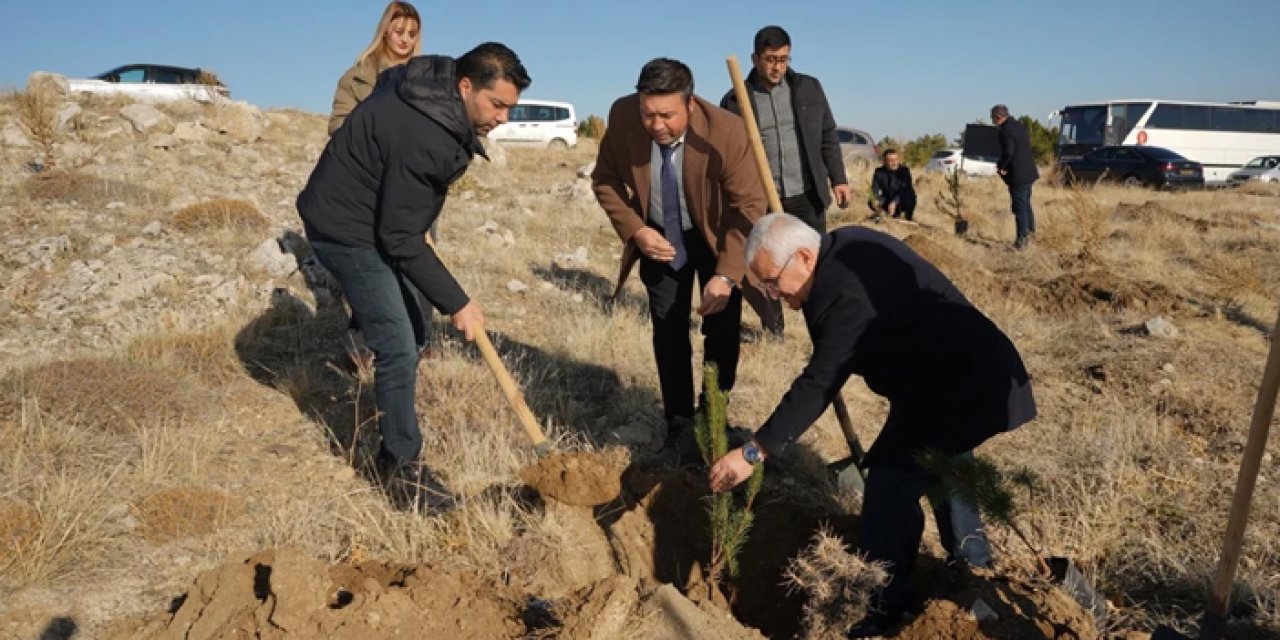 Kaman’da bozkır alanlar yeşillendirildi