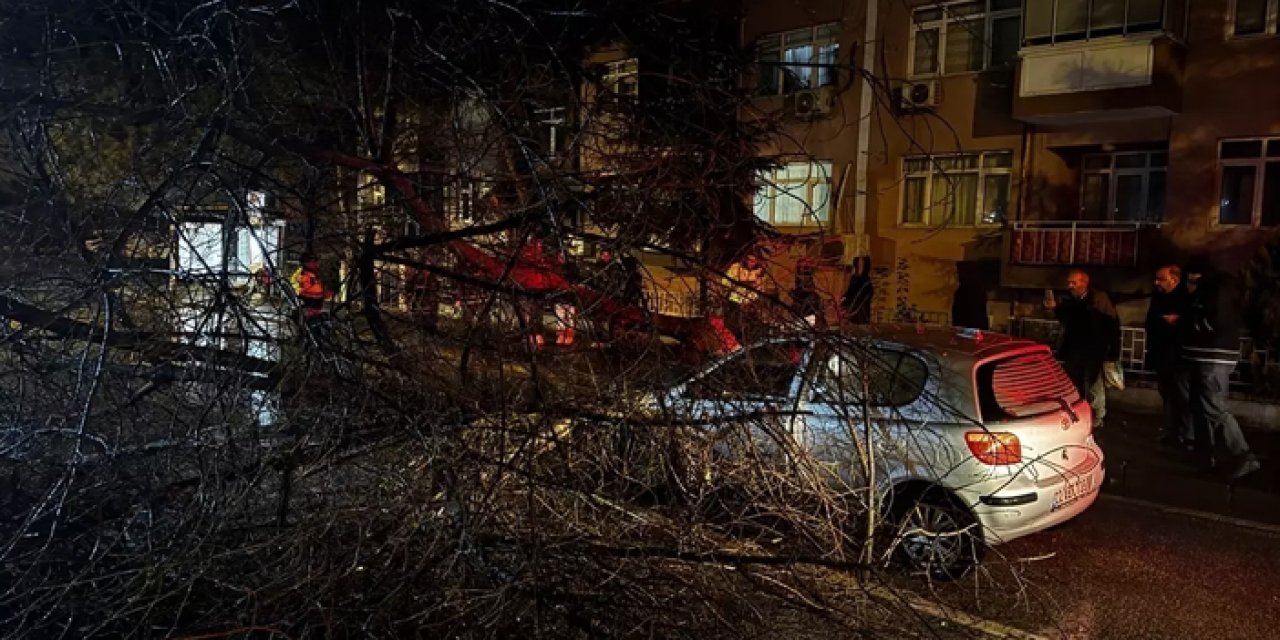 Edirne'de seyir halindeki otomobilin üzerine ağaç devrildi