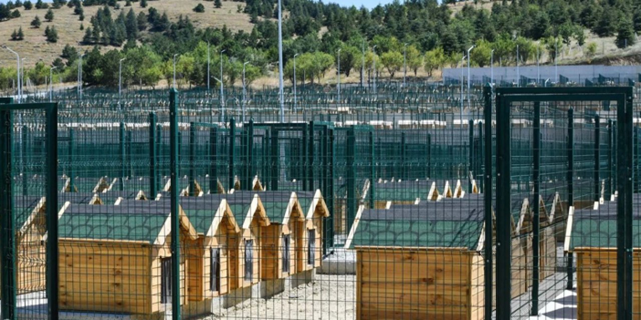 ABB’den barınak görüntülerine ilişkin açıklama